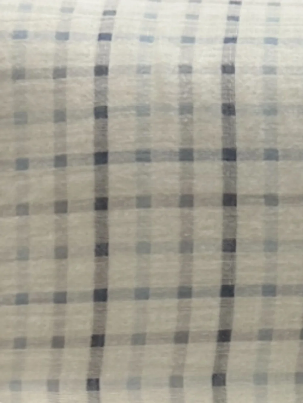 Restore Home Queen Blue and White Checkered Cotton Gauze Comforter Set 90”x90”
